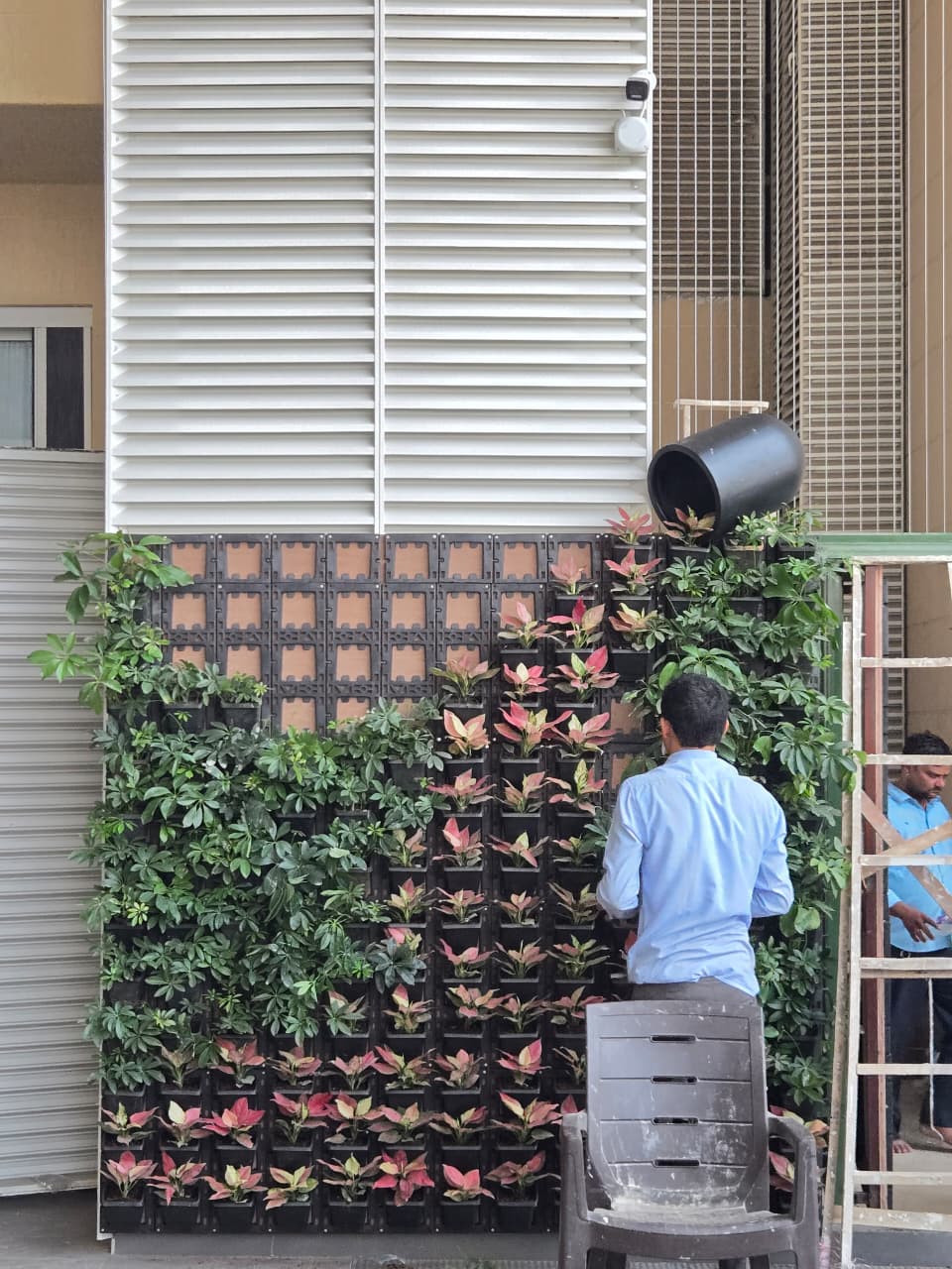 Pravaa team installing a living plant wall